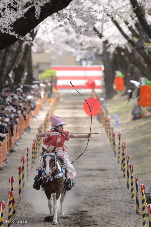 20160424-_DSC8490.jpg