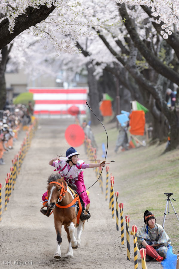 20160424-_DSC8507.jpg