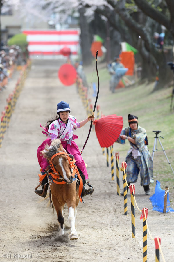 20160424-_DSC8517.jpg