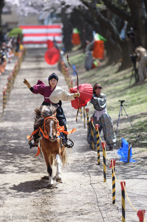20160424-_DSC8885.jpg