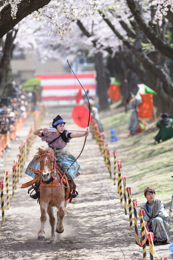 20160424-_DSC8928.jpg