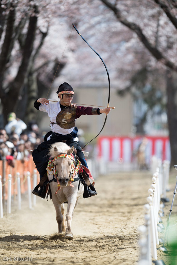 20170422-_DSC7335.jpg