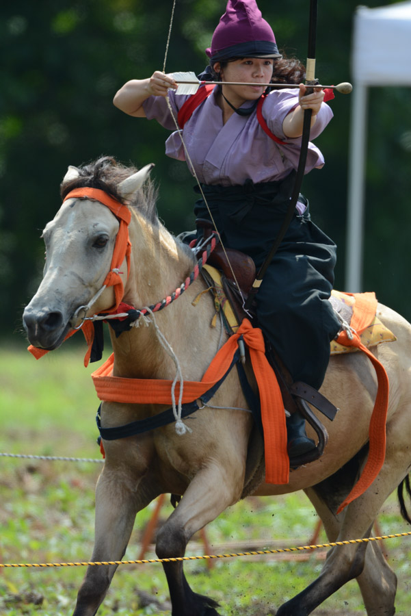 DSC_9317.jpg