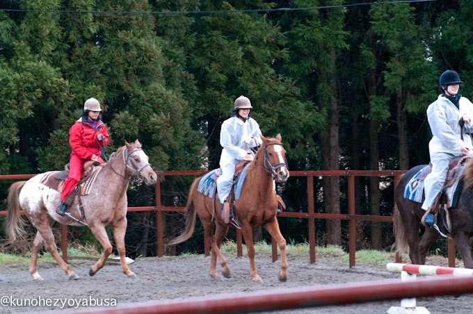 _IGP0809.jpg